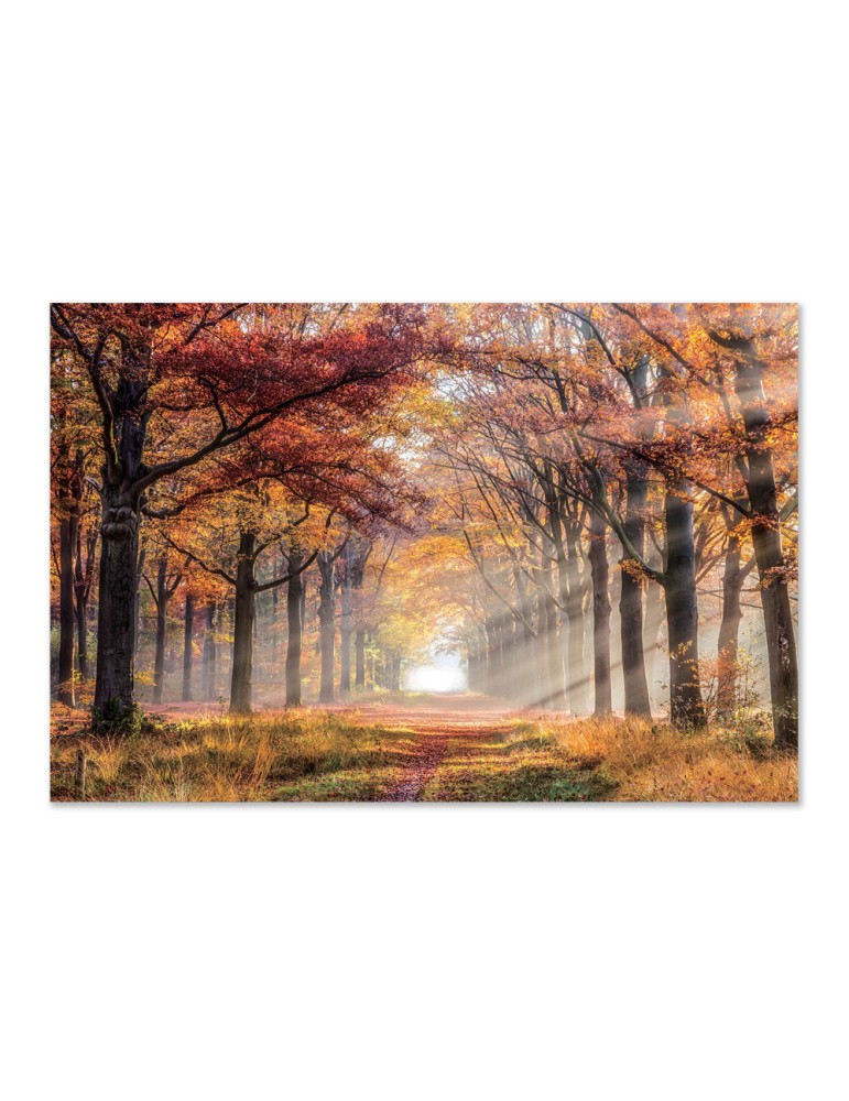 Impression sur verre – 44.105