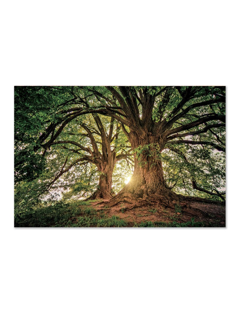 Impression sur verre – 44.106