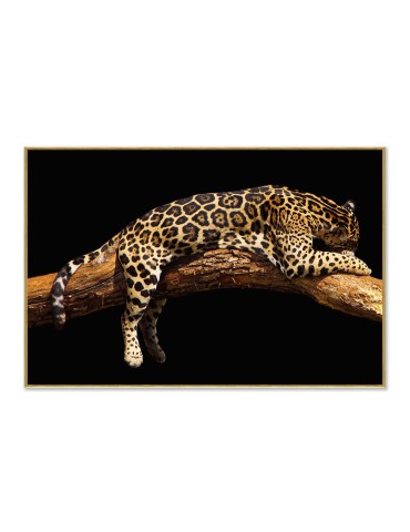 Image encadrée avec gel – 48.162