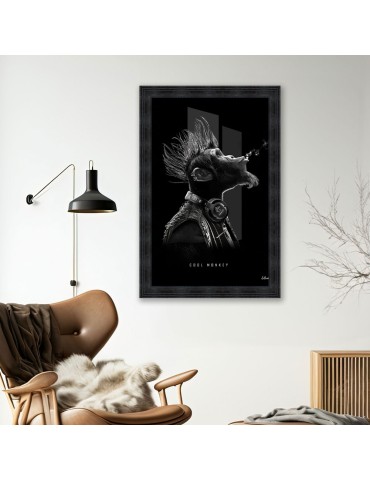 Cool Monkey – Sylvain Binet 2