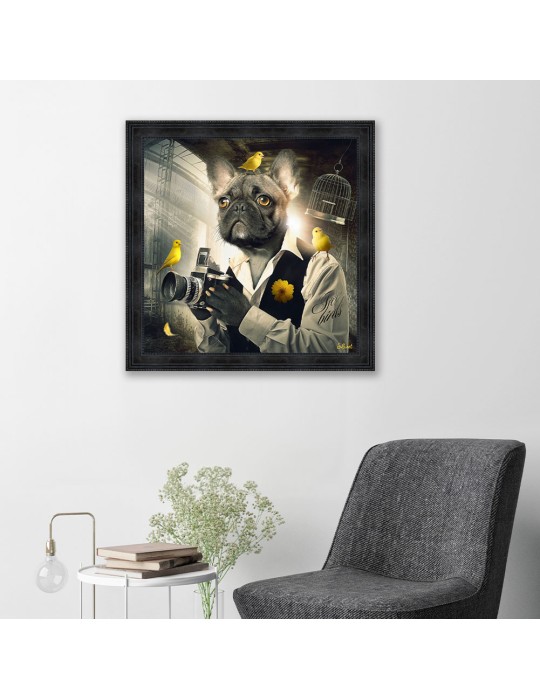 Binet Chien Photo 68x68