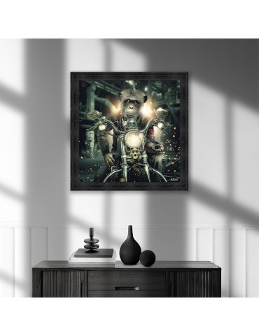 Gorille moto – Sylvain Binet 2