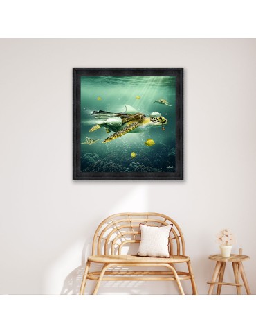 Binet Tortue 68x68 2