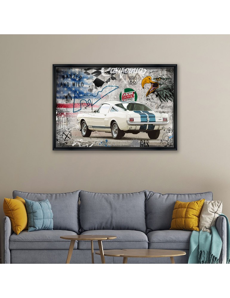 Shelby 65 – Collection Rubix