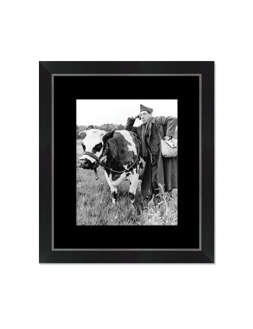 La vache et le prisonnier – Cinéma – image encadrée