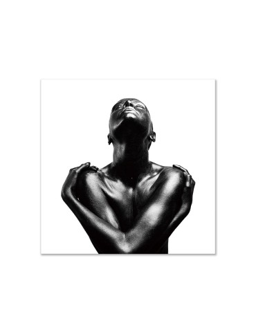 Impression sur plexiglas – 53.026