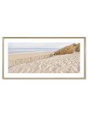 Dune - Collection GF Cohen