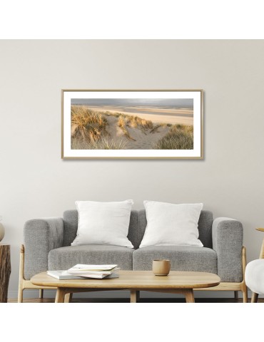 Ayots - Collection GF Cohen 2