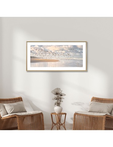 Oiseaux - Collection GF Cohen 2