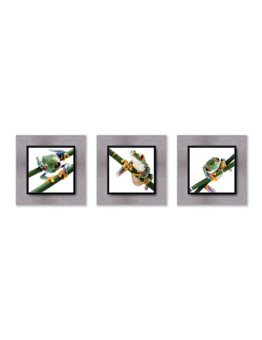 Photographie d'art - Set de 3 encadrements 20x20 cm