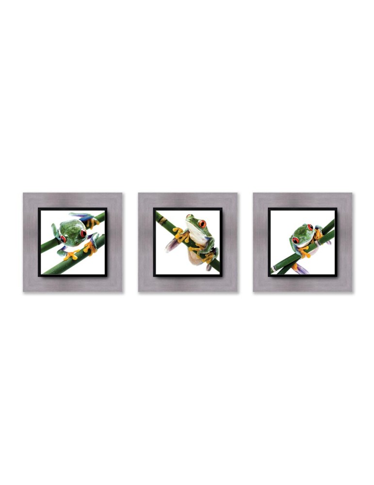 Photographie d'art - Set de 3 encadrements 20x20 cm