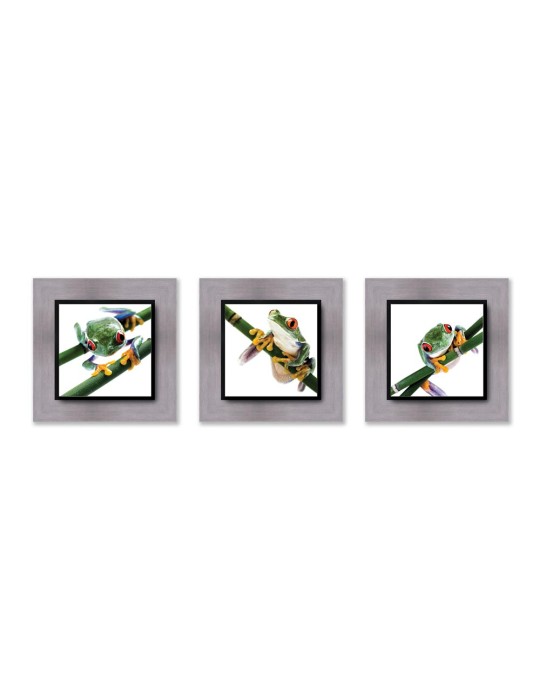 Photographie d'art - Set de 3 encadrements 20x20 cm