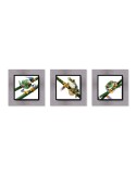 Photographie d'art - Set de 3 encadrements 20x20 cm