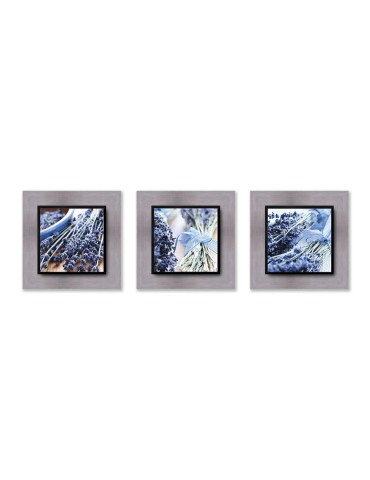 Photographie d'art - Set de 3 encadrements 20x20 cm