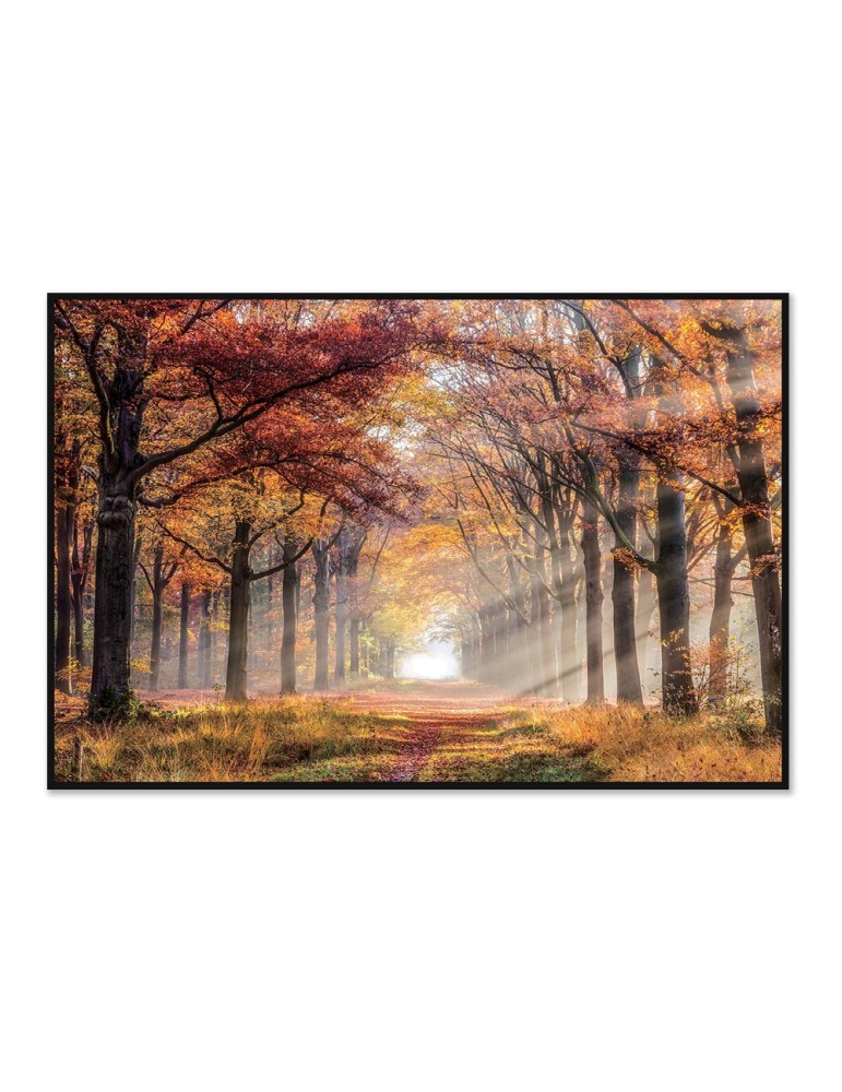 Impression sur verre – 44.105