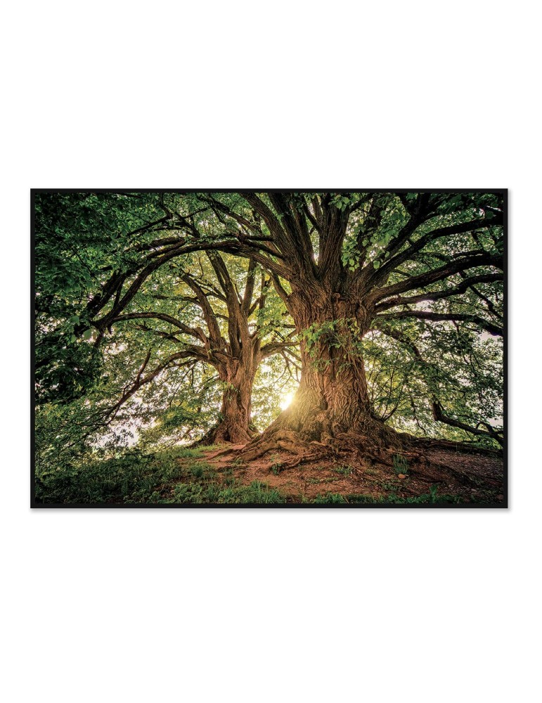 Impression sur verre – 44.106