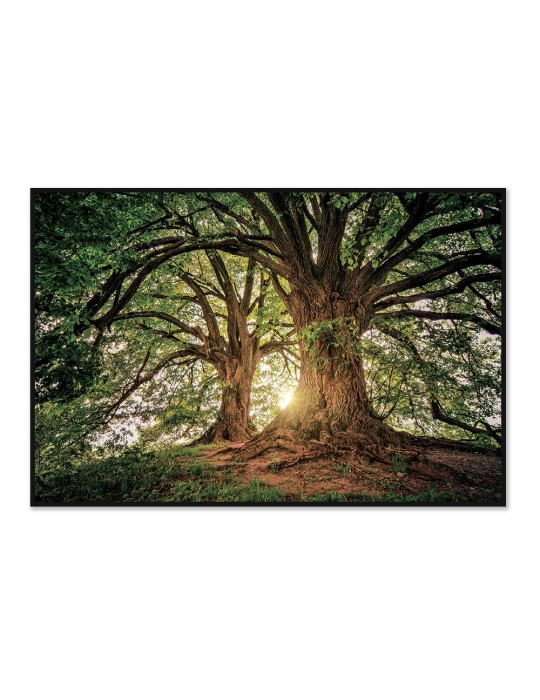 Impression sur verre – 44.106