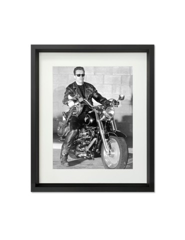 Terminator 2 – Prestige – image encadrée