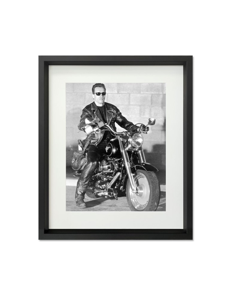 Terminator 2 – Prestige – image encadrée