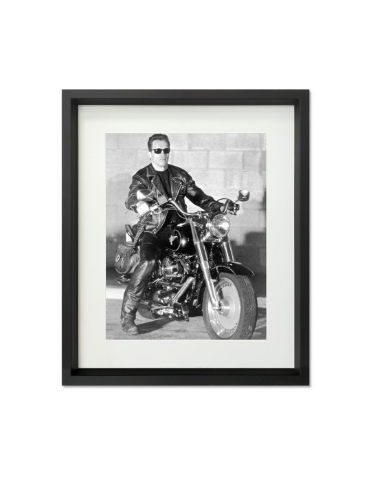 Terminator 2 – Prestige – image encadrée