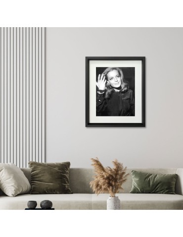 R.Schneider – Prestige – image encadrée 2