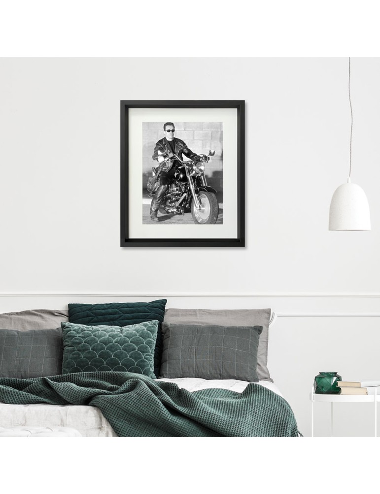 Terminator 2 – Prestige – image encadrée