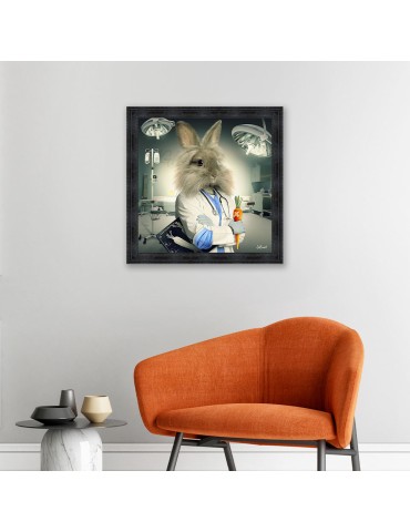 Lapin Infirmier – Sylvain Binet 2