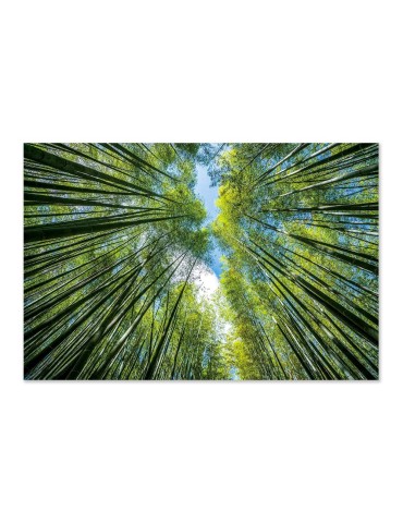 Impression sur verre – 44.149