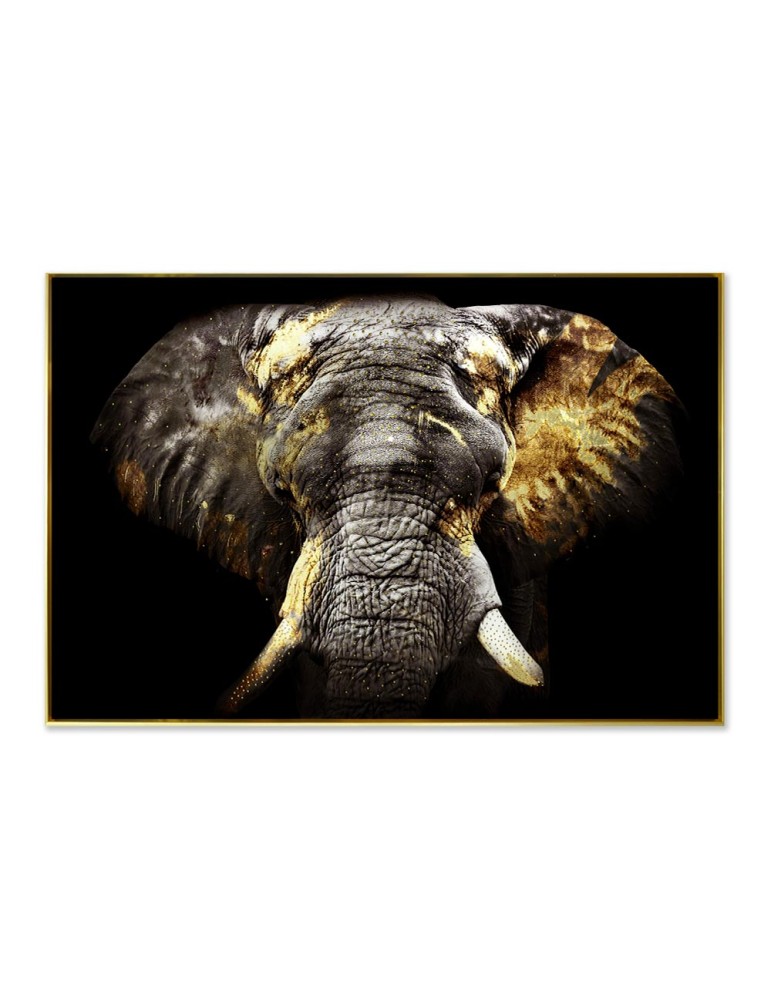 Image encadrée avec gel – 48.166