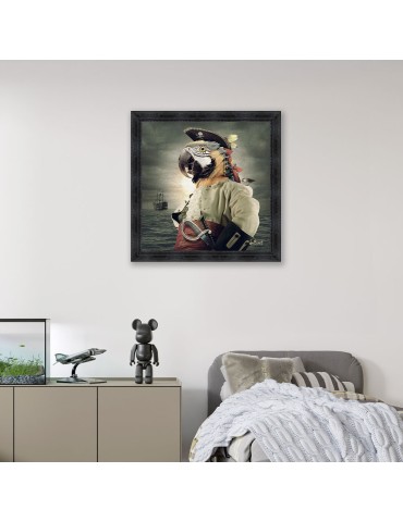 Pirate Perroquet – Sylvain Binet 2