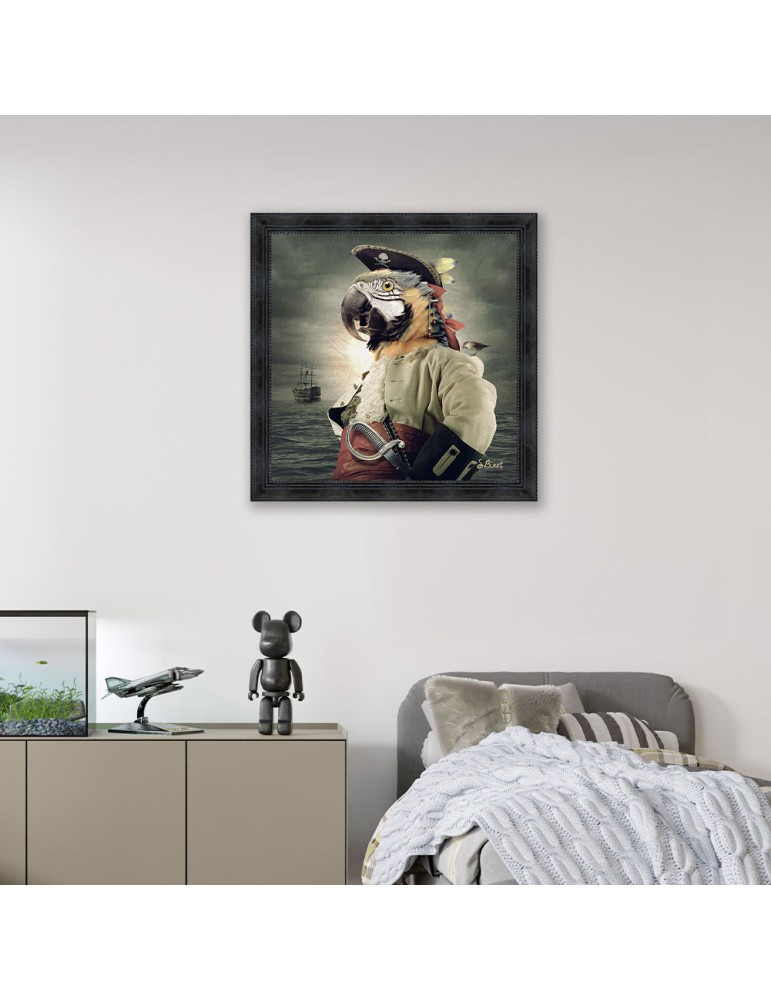 Pirate Perroquet – Sylvain Binet