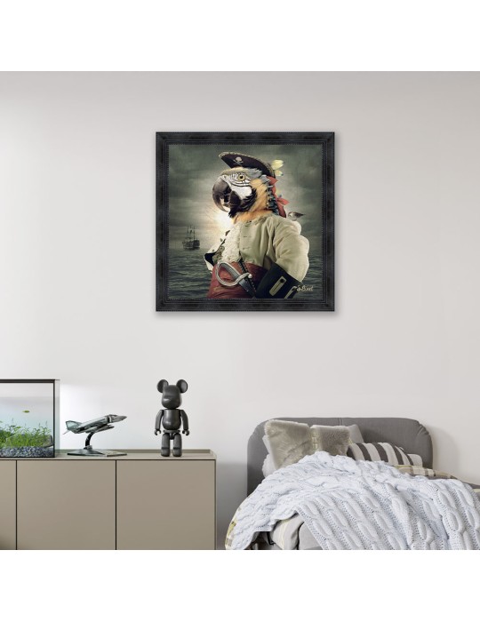 Pirate Perroquet – Sylvain Binet