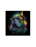 Impression sur verre – Bulldog Color