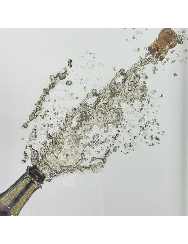 Image encadrée avec gel – 48.087