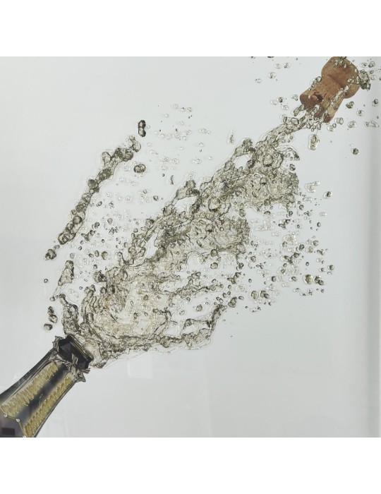 Image encadrée avec gel – 48.087