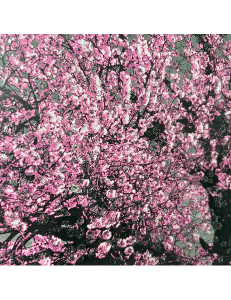 Image encadrée avec gel – 48.121