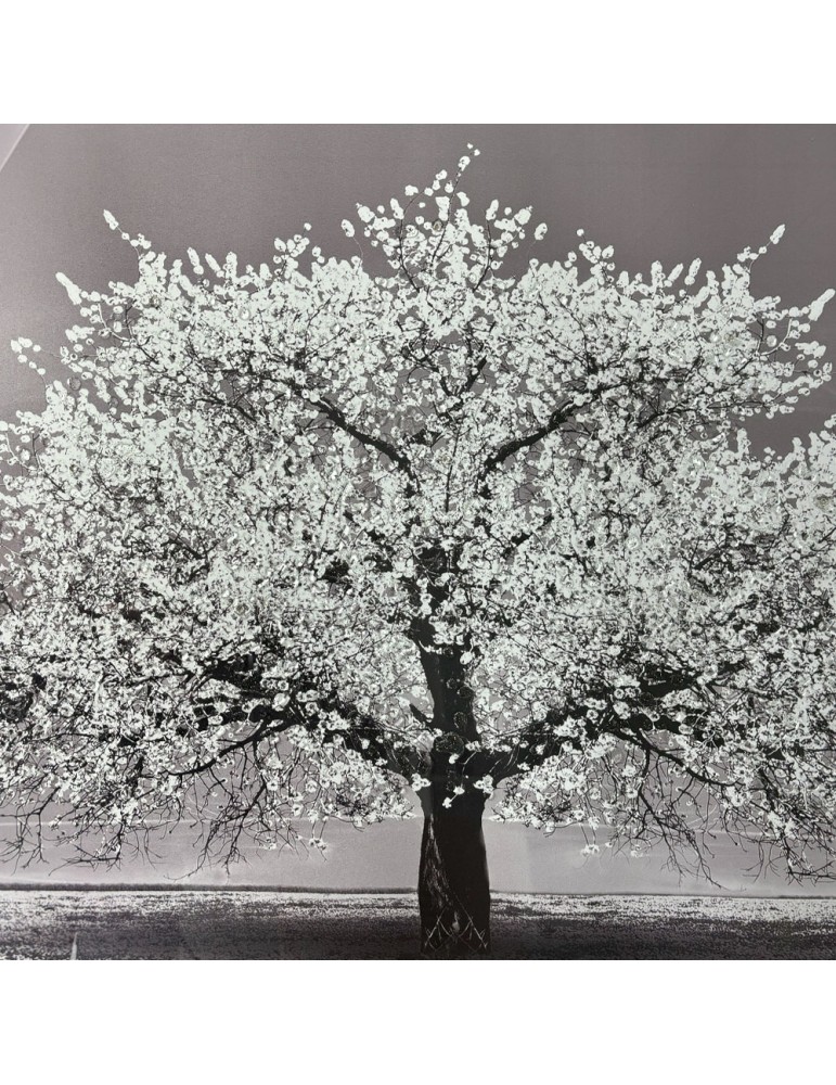 Image encadrée avec gel – 48.122