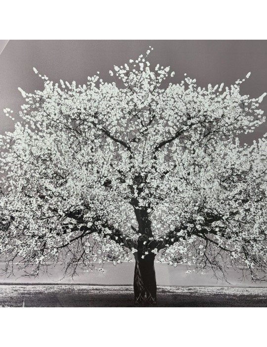 Image encadrée avec gel – 48.122