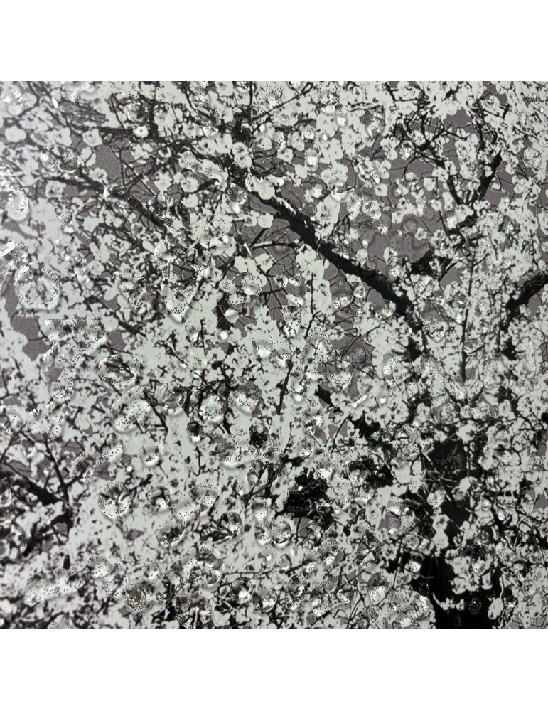 Image encadrée avec gel – 48.122