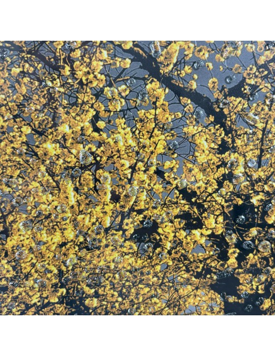 Image encadrée avec gel – 48.123