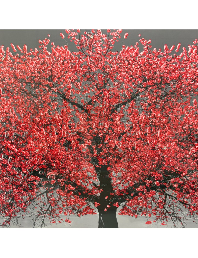 Image encadrée avec gel – 48.149