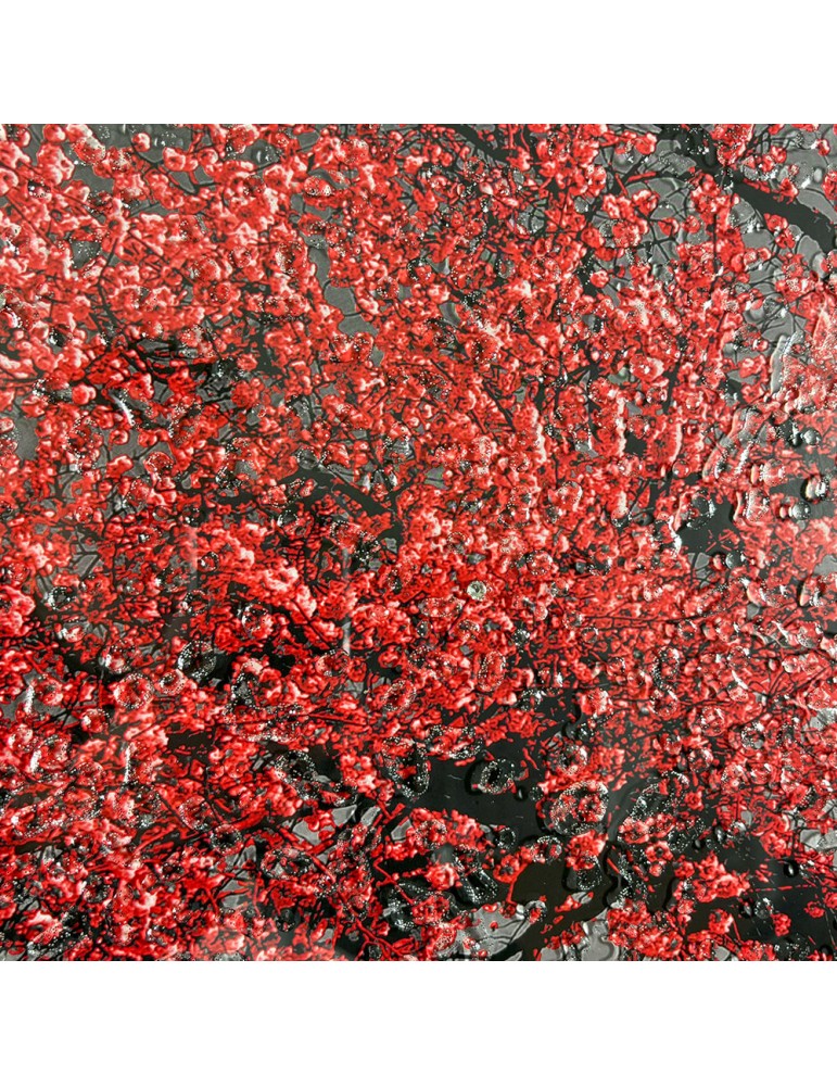 Image encadrée avec gel – 48.149