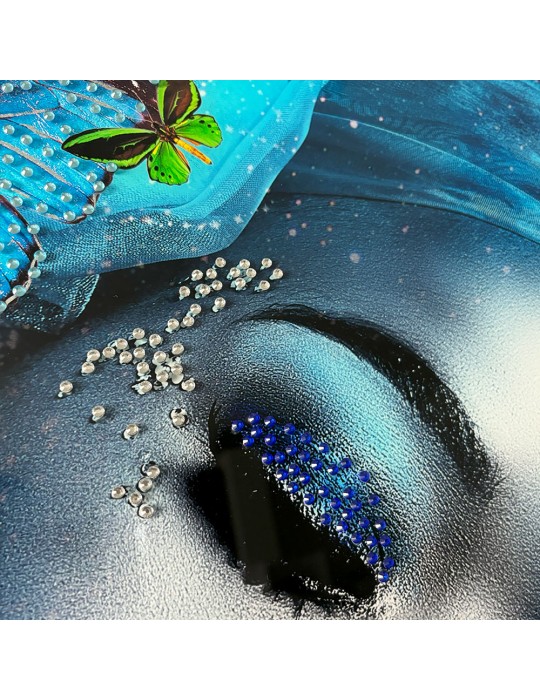 Image encadrée avec gel – 48.163