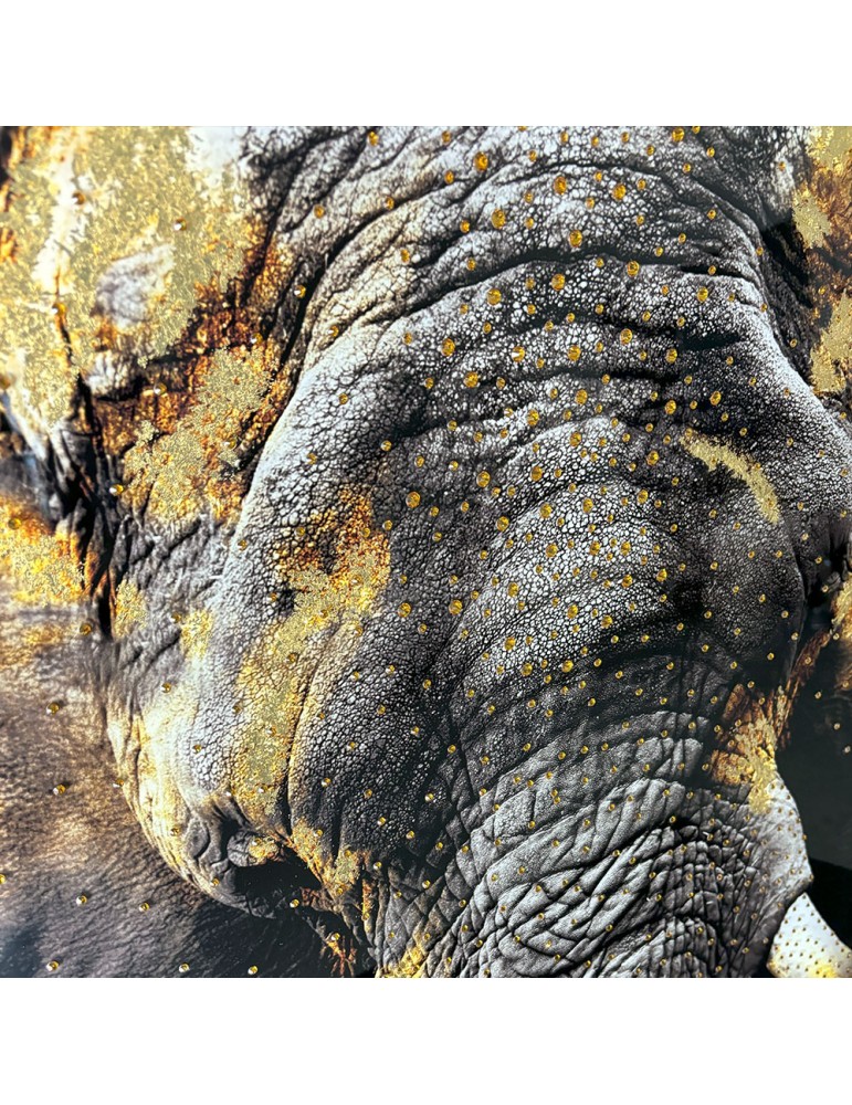 Image encadrée avec gel – 48.166