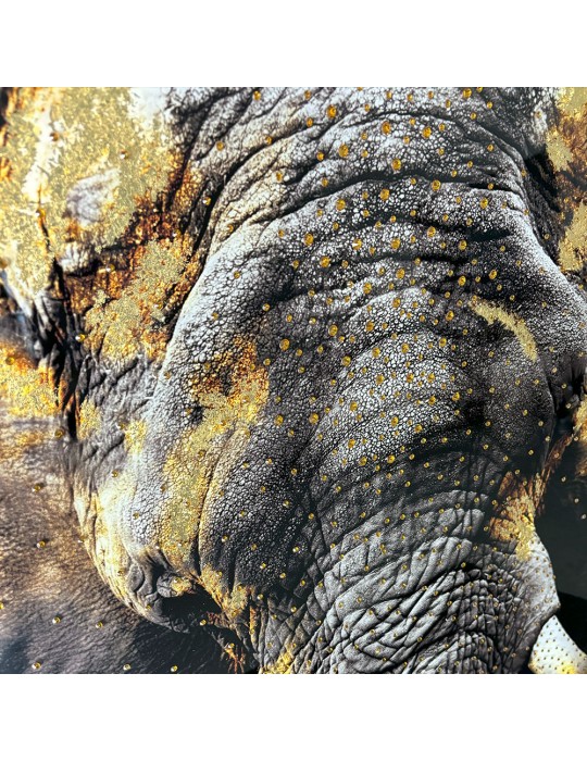 Image encadrée avec gel – 48.166