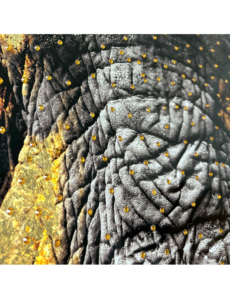 Image encadrée avec gel – 48.166