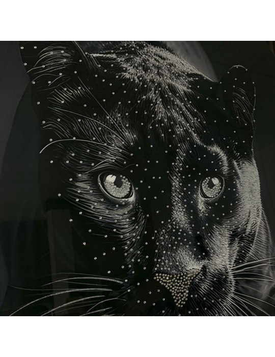 Image encadrée avec gel – 48.167