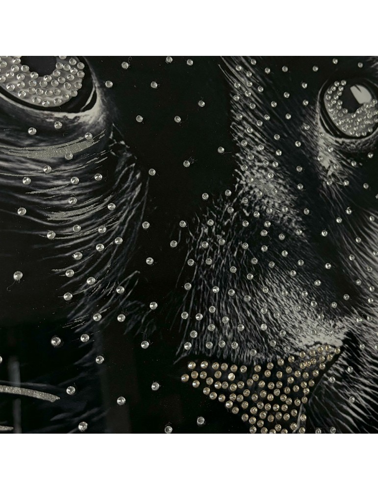 Image encadrée avec gel – 48.167