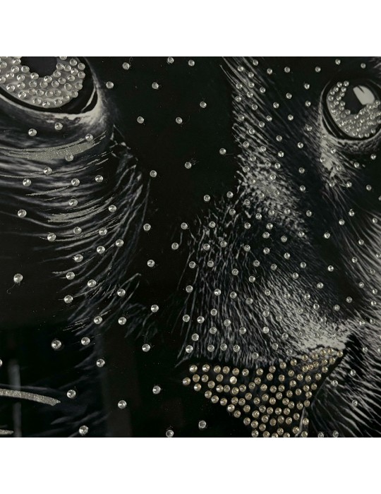 Image encadrée avec gel – 48.167