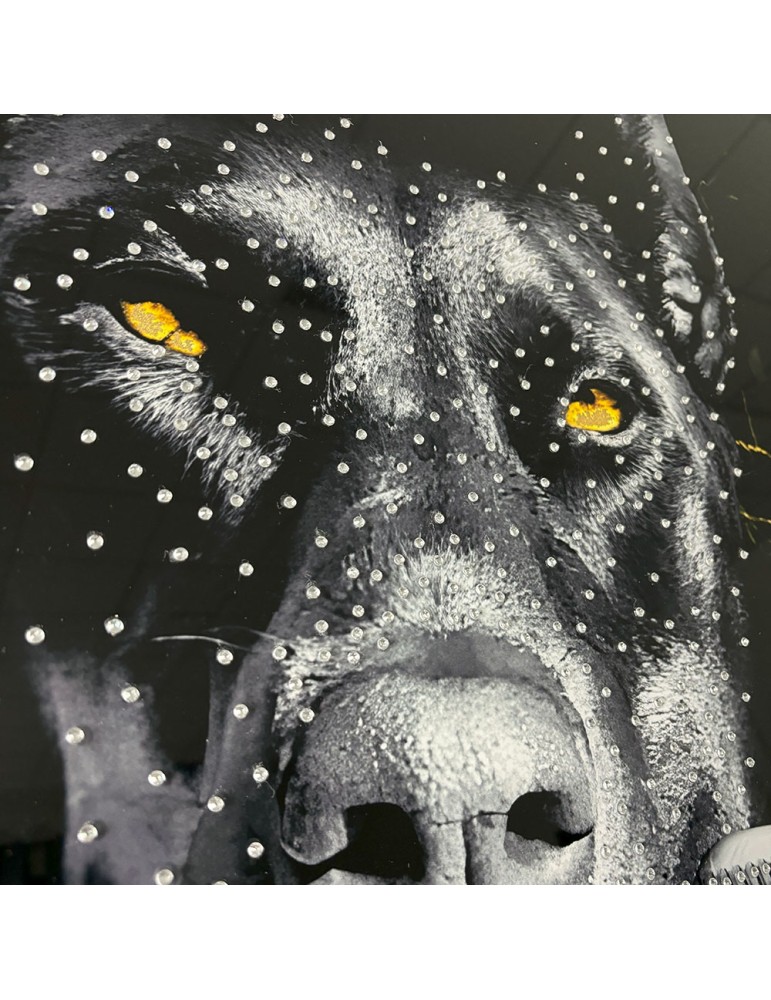 Image encadrée avec gel – 48.170